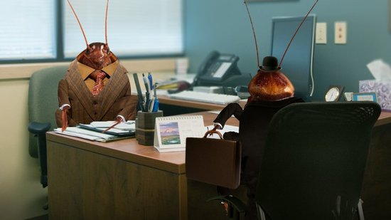 Samantha Bee Cockroaches picture