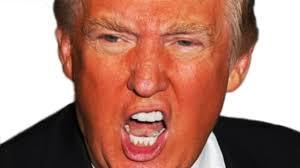 Donald Trump angry