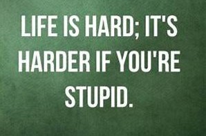 life-is-hard-stupid